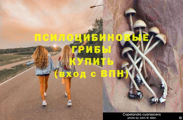 ALPHA-PVP Богородицк