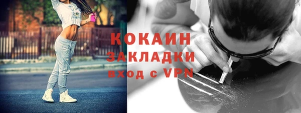 ALPHA-PVP Богородицк