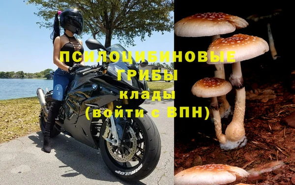 apvp Богданович