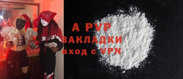 spice Богородск